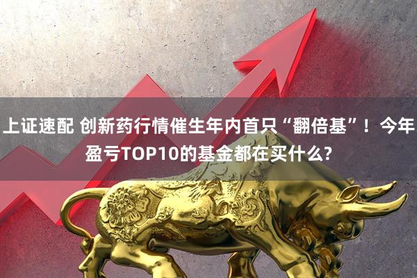 上证速配 创新药行情催生年内首只“翻倍基”！今年盈亏TOP10的基金都在买什么?