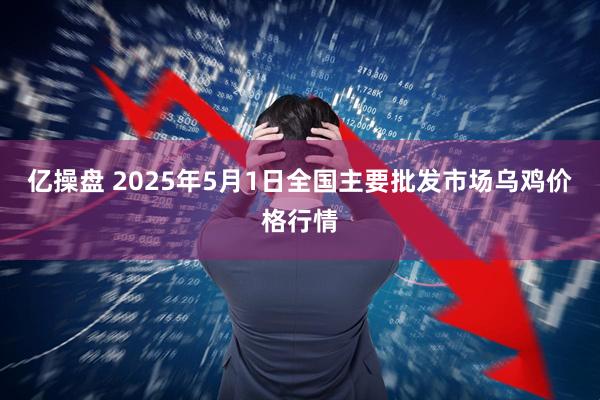 亿操盘 2025年5月1日全国主要批发市场乌鸡价格行情