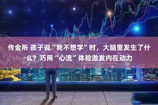 传金所 孩子说“我不想学”时，大脑里发生了什么？巧用“心流”体验激发内在动力