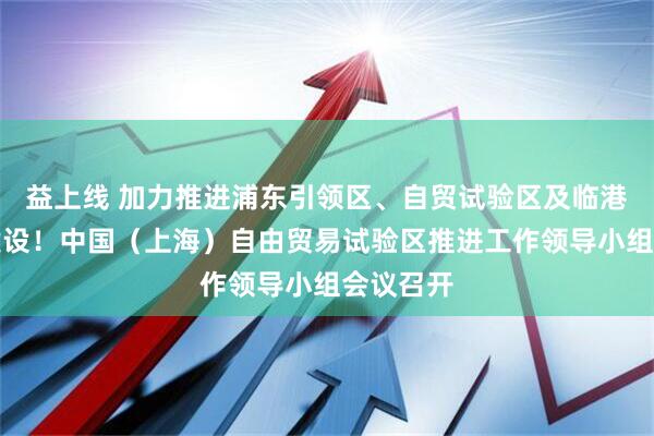 益上线 加力推进浦东引领区、自贸试验区及临港新片区建设！中国（上海）自由贸易试验区推进工作领导小组会议召开